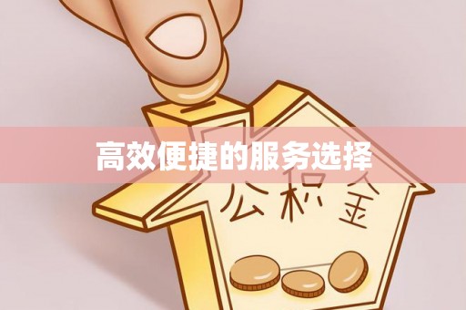 内蒙古高效便捷的服务选择